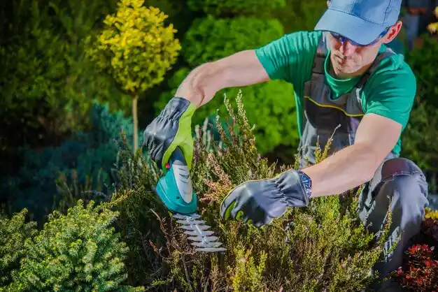 landscaping services Brockton